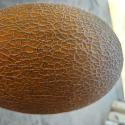 Melon