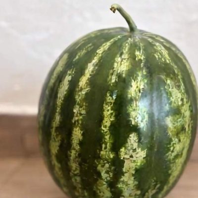 Watermelon-1