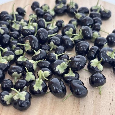 black goji (1)